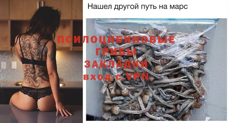 Галлюциногенные грибы Magic Shrooms  blacksprut   Ялуторовск 